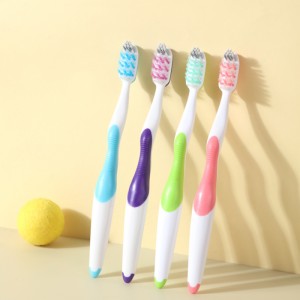 Maison familiale utilisant une brosse à dents manuelle à poils souples