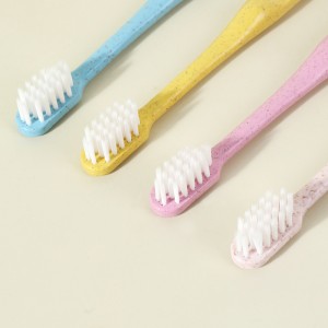 Brosse à dents biodégradable OEM