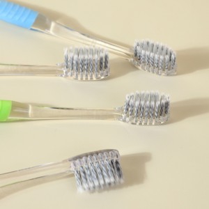 Maison familiale utilisant une brosse à dents manuelle à poils souples