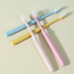 Brosse à Dents Ecologique Zéro Déchet Sans Plastique