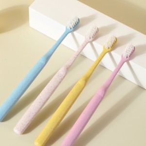 Brosse à Dents Ecologique Zéro Déchet Sans Plastique